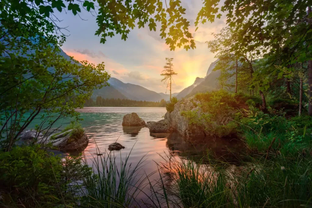 Lorem ipsum dolor sit amet consectetur adipiscing elit
